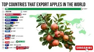 Top Apple Exporting Countries in the World