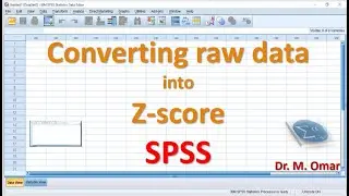 Converting tow data into Z Score in SPSS