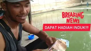 unpan jitu ikan mas!! induk ditangan!!!