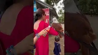 With Eagle at Kerala 2024 #southindia #backwaters #wildlife  #birds  #boatrides #daredevil
