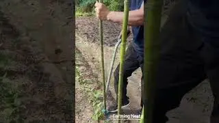 This Weird Tool Makes Planting SO Much Faster!