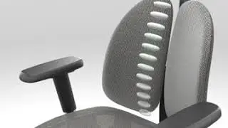 Progress Health OrthoSeries IV Premium Orthoback Chair / Office Chair / Ergonomic Design