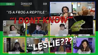 Fuslie is confused by this question..