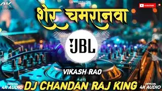 #Sher_Chamaranawa | चमार जी के गाना  |#vikash_rao #chamaran_song 2024 | Dj Chandan Raj King Jaunpur