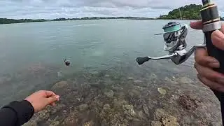 NEKAD,,, Fishing Camp sehabis hujan badai ke pulau kosong di Batam- Fishing Camp Indonesia