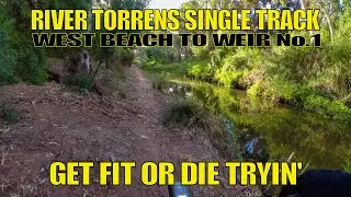 River Torrens Single Track Cycling - MTB