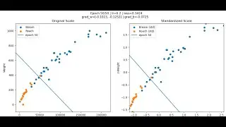 Linear Classifiers and Gradient Descent