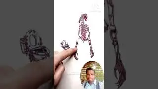 Siren Toilet transform Siren Head #stopmotion #drawing #skibiditoilet #sirenhead 👹