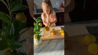 Fresh Lemonade at Home. Nothing beats the taste. #freshlemon #lemonade #refreshing #tinychef