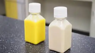 Innovate Plant Protein Drinks for Great Taste