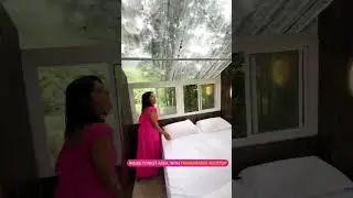 Can&rsquo;t miss this stay in India 😯Transparent Tree house in Kerala | India&rsquo;s bucket list destination