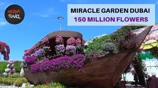 150 Million Flowers. Miracle Garden Dubai. A world of Floral Wonder. Virtual Tour.