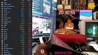 조용한 집중 / 주식 트레이딩 | Study + Trading with me 🐱 with cat | Korean Chill Room