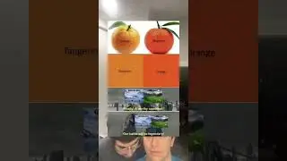 Do you know the differences between oranges and tangerines?