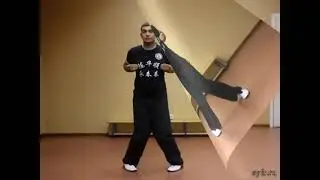 Chan Wah Shun Wing Chun 5