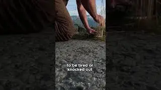 Alaska Fishing Trick: Unhooking Salmon Made Easy