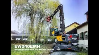 Volvo EW240EMH Material Handler im Forsteinsatz mit Baumschere.
