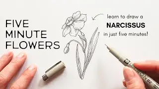 Five Minute Flowers | NARCISSUS | real-time drawing tutorial