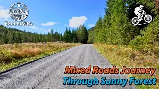 ☀️🌲 Mixed Roads Journey Through Sunny Forest 🚴&zwj;♂️