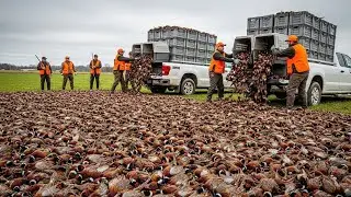 You Won&rsquo;t Believe This Hunt &mdash; 1,319 Birds in 45 Minutes! Fastest Ever Recorded
