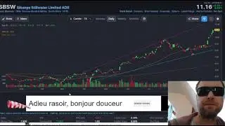 Sibanye Stillwater : la meilleure action du secteur platine et palladium ? 