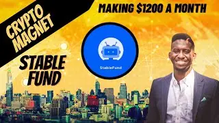 Stable Fund : How I Make $1200 in Passive Income