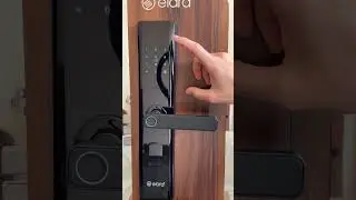 Elara Echo Lite setup Video
