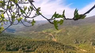 village boumansour yakouren