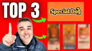 🥇TOP 3 melhores rações da SPECIAL DOG!!