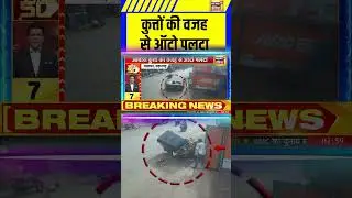 कुत्तों की वजह से ऑटो पलटा | Mumbai | Palghar | #shorts