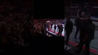 Sean O'Malley's Impressive UFC Bantamweight Championship Performance