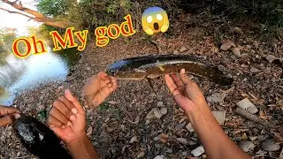 Use Underwater Fishing Lures || A Big Snakehead Attack @pudongkley-since98