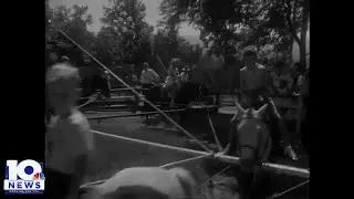 Mill Mountain Zoo 1958-1968 | WSLS Video Vault