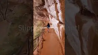 Zion National Park. Easy Hike Behind A Waterfall.