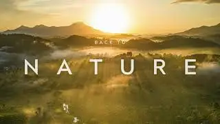 Peaceful Ambient Music 🌿 Stress Relief & Mindfulness
