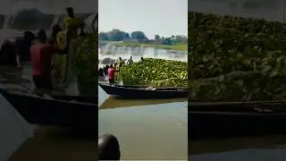 amazing hunting net fishing 🙂🙂    #shotrs #trendingshorts #fishdomworld