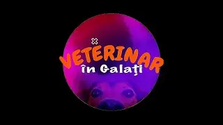 Veterinar în Galați cu dr. Dan GEORGESCU dec2024