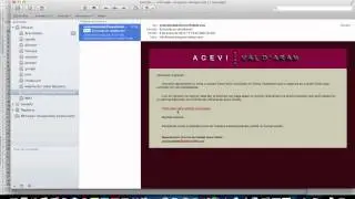Encuestas - Webs Program Design