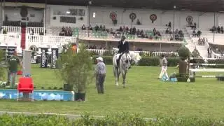 Celesta calificativa GP 150 CSI 3* LISBOA Rodrigo Diaz Kraus
