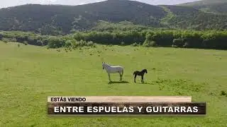 Entre Espuelas y Guitarras - VIVO