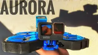 💪 4 Inch CINEWHOOP Holds 2 GoPros