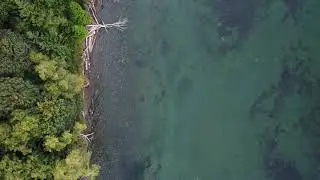 Relaxing Aerial View Along Vancouver Island British Columbia