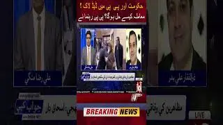 Deadlock between Shebaz Govt and PPP? | PTI Protest | PPP Leader Big Statement #Shorts