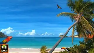 Caribbean Paradise Beach Screensaver & Ocean Waves Sounds for Sleeping, Relaxing | Deep Sleep Sounds
