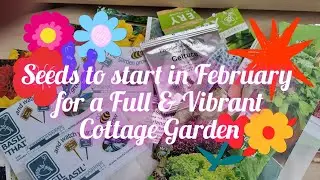 Essential seeds to sow in February. Flowers and Herbs 🌿 