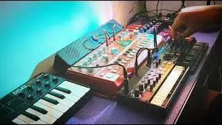 Behringer Pro Vs Mini Behringer TD 3 Korg Volca Beats Jam 11 #jam #behringer #korg #synth #chillout