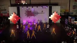 Taneční skupina roku 2018 Elements Community