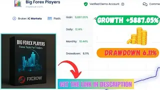 Big Forex Players EA V3.1 MT4 No DLL    Best Gold EA 2025 ..