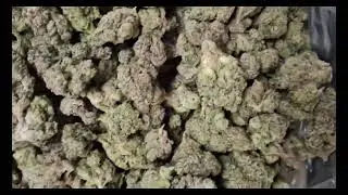 How to Find Verified THCA Wholesalers in October 2025