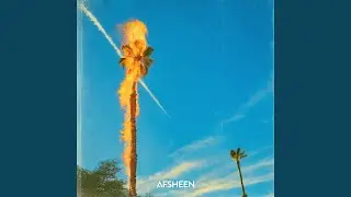 Palm Tree On Fire